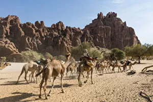 Camel caravan, Guelta d'Archei waterhole, Ennedi plateau, UNESCO World Heritage Site