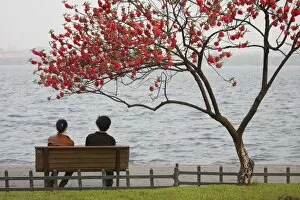 Jointly Gallery: Chinese couple sitting under tree in blossom along Xi Hu (West Lake) at dusk