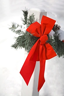: Christmas Wall Art & Decor Collection