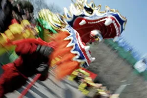 Animal Representation Collection: Dragon dance during Chinese New Year, Paris, Ile de France, France, Europe