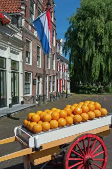 Weeping Willow Collection: Edam cheese balls, Edam, Holland, Europe