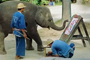 Elephant Collection: Elephant painting with his trunk
