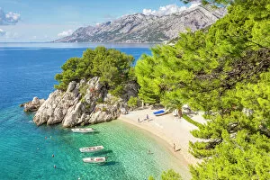 Leaf Collection: The famous Podrace Beach near Brela and Makarska, Croatia, Europe