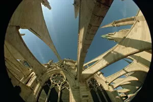 Fish eye lens view of the flying butresses of Notre Dame Cathedral, Paris, France, Europe