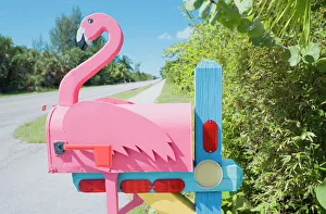 Flamingo Gallery: Flamingo made of wood attached to pink mailbox, Sanibel Island, Florida
