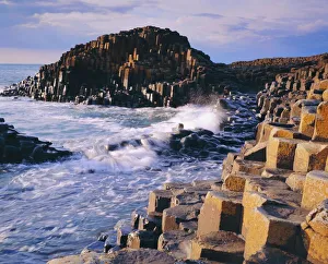 Step Gallery: The Giants Causeway