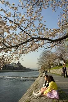 Seated Collection: Girls sitting on banks of Kamogawa river watching cherry blossoms