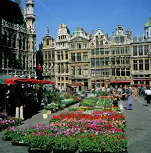 Belgium Collection: Grand Place, Brussels (Bruxelles), Belgium, Europe