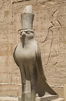 Temple Of Horus Collection: Granite falcons, Pylon, Temple of Horus, Edfu, Egypt, North Africa, Africa