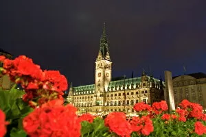 Civic Gallery: Hamburg City Hall in the Altstadt (Old Town)