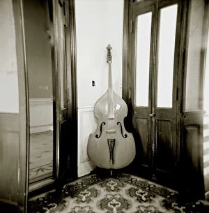 Musical Instrument Collection: Image taken with a Holga medium format 120 film toy camera of double bass resting against wall