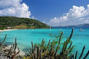 West Indian Gallery: Jost Van Dyke island, British Virgin Islands, Caribbean, West Indies, Central America