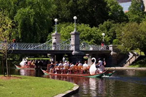 Entertainment Gallery: Lagoon Bridge and Swan Boat in the Public Garden