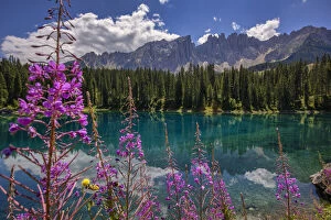 South Tyrol Collection: Latemar mountain range reflected in Lake Carezza (Karersee) in summer, South Tyrol