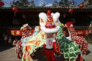 Pagoda Gallery: Lion dance performers, Chinese New Year, Quan Am Pagoda, Ho Chi Minh City