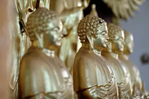 Tourist Attractions Collection: Long Duc Buddhist temple, Golden Buddha statues on altar, Tan Chau, Vietnam, Indochina