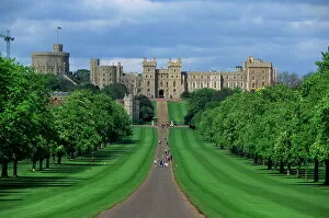 Castle Gallery: Long Walk from Windsor Castle, Berkshire, England, United Kingdom, Europe
