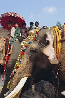 Seated Collection: Mahoot and boys on decorated elephants at a roadside festival