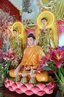 Tourist Attractions Collection: Main altar, Phu Son Tu Buddhist temple, Shakyamuni Buddha statue, Tan Chau, Vietnam, Indochina