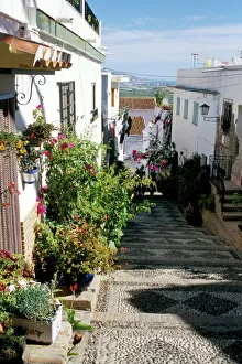 Step Gallery: Narrow street filled with flowers and plants
