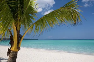 West Indian Gallery: Negril, Jamaica