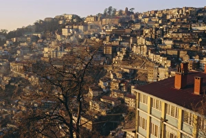 Jointly Gallery: The old British summer hill station of Simla at sunset