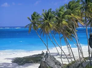West Indian Gallery: Palm trees and beach, Bottom Bay, Barbados, Caribbean, West Indies, Central America