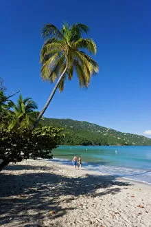 Jointly Gallery: Palms and beach at Magens Bay, the most famous beach on St. Thomas, St