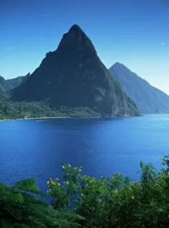 West Indian Gallery: The Pitons, St
