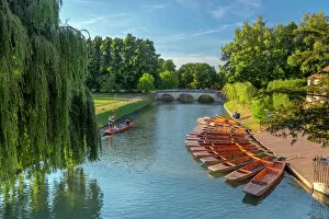 Weeping Willow Collection: Punts on The Backs, River Cam, Cambridge, Cambridgeshire, England, United Kingdom, Europe