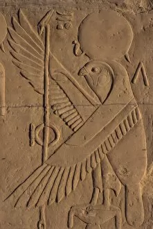 Kom Ombo Collection: Detail of relief carving of the falcon (hawk) god, Kom Ombo, Egypt, North Africa, Africa