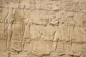 Tourist Attractions Gallery: Reliefs, Offering to God Amun, Great Hypostyle Hall, Karnak Temple Complex