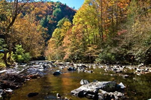 Colorful Gallery: River and colourful foliage in the Indian summer, Great Smoky Mountains National Park