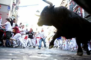 Full Body Gallery: Running of the bulls (Encierro), San Fermin festival, Pamplona, Navarra, Spain, Europe