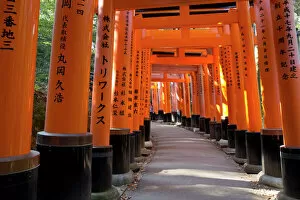 Shrine Collection: Senbon Torii (1, 000 Torii gates), Fushimi Inari Taisha shrine, Kyoto, Japan, Asia