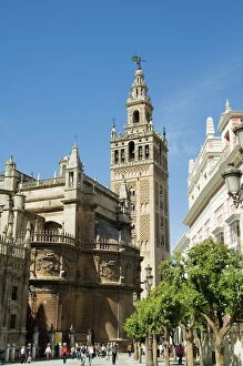 Court Yard Gallery: Seville Cathedral