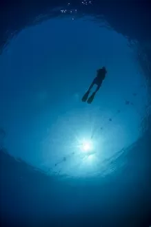 Egypt Collection: Silhouette of one scuba diver and sunball underwater, fish eye view, Egypt, North Africa, Africa
