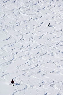 Adventure Collection: Skiers making early tracks after fresh snow fall at Alta Ski Resort