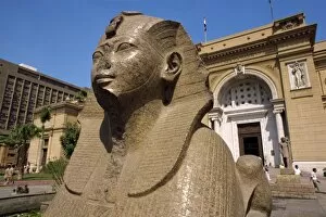 Egypt Gallery: Sphinx outside the Egyptian Museum, Cairo, Egypt, North Africa, Africa