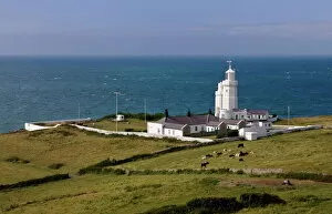 Eating Collection: St. Catherines Point Lighthouse, Isle of Wight, England, United Kingdom, Europe