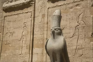 Edfu Collection: Statue of Falcon, Front of First Pylon, Temple of Horus, Edfu, Egypt, North Africa