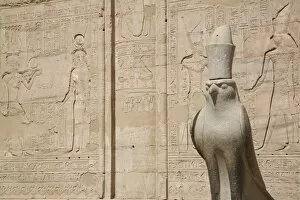Hieroglyph Collection: Statue of the falcon, sacred bird of Horus, at the entrance of the Temple of Edfu