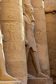 Tourist Attractions Gallery: Statue of Ramesses ll, Luxor Temple, Luxor, Thebes, UNESCO World Heritage Site, Egypt