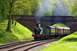 Railway Collection: Steam train on Bluebell Railway, Horsted Keynes, West Sussex, England, United Kingdom, Europe
