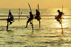 Four People Gallery: Stilt fishermen, Dalawella, Sri Lanka, Indian Ocean, Asia