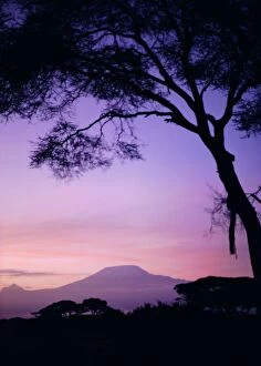 Country Side Collection: Sunrise, Mount Kilimanjaro