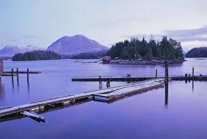 Dock Collection: Tofino, Vancouver Island, British Columbia (B.C.), Canada, North America
