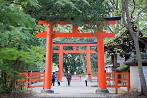Shrine Gallery: Two torii gates, Shimogamo Shrine, Tadasu no Mori, Kyoto, Japan, Asia