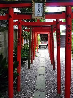 Shrine Gallery: Torii shrine gates, Kyoto, Japan, Asia