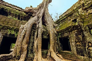 Old Ruins Collection: Tree roots on a gallery in 12th century Khmer temple Ta Prohm, a Tomb Raider film